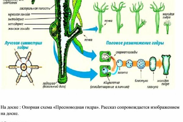 Кракен сайт даркнет официальный